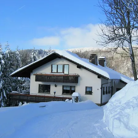 Enchanting Apartment In Rickenbach With Terrace Apartamento *
