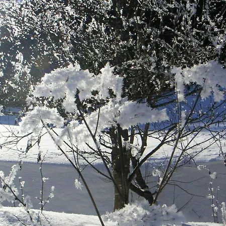 Enchanting Apartment In Rickenbach With Terrace Apartamento *